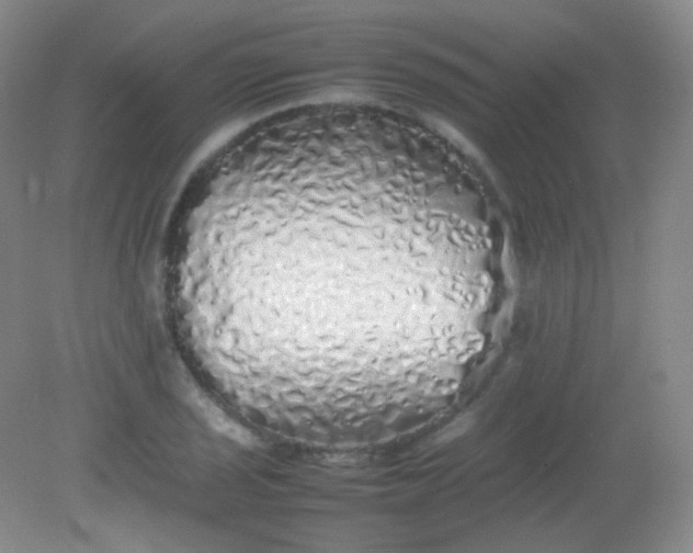 X0000082141029200702021604