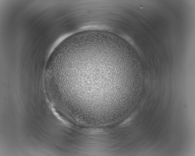 X0000082141030200702021604
