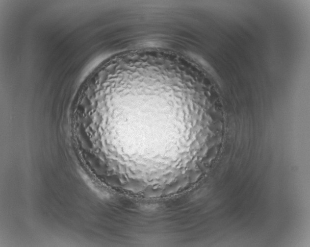 X0000082141031200702021604