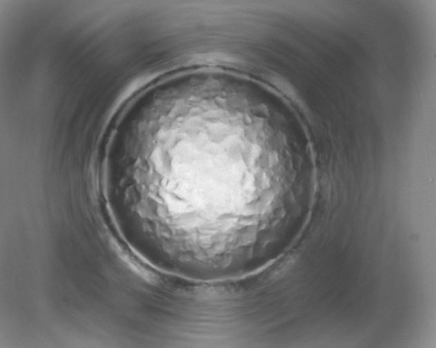 X0000082141032200702021604