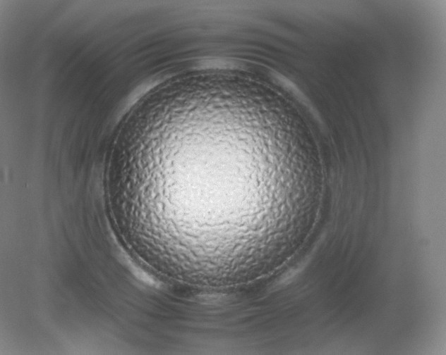 X0000082141033200702021604