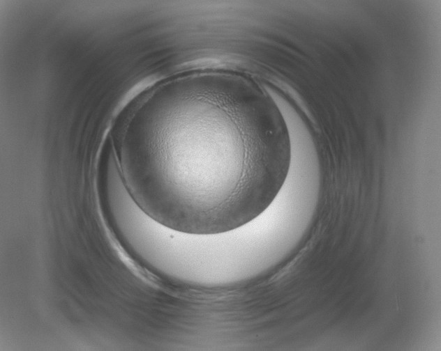 X0000082141034200702021604