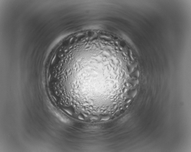 X0000082141035200702021604