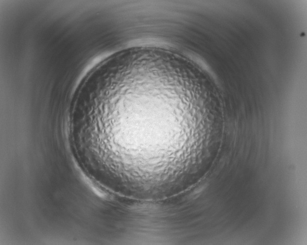 X0000082141040200702021604