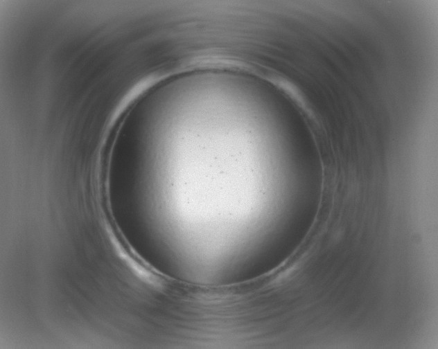 X0000082141046200702021604