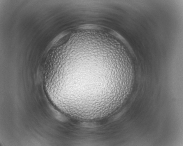 X0000082141049200702021604