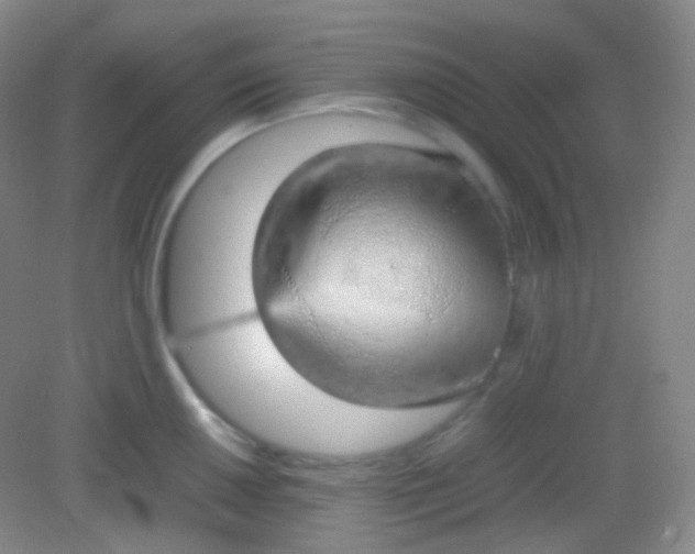 X0000082141050200702021604