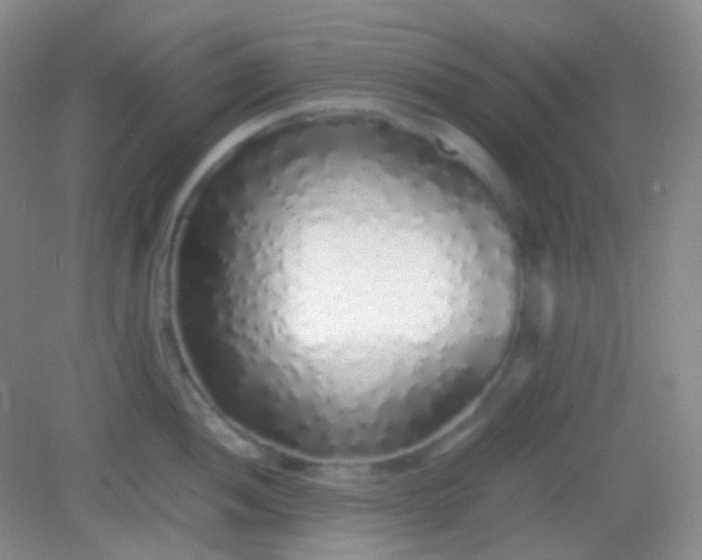 X0000082141052200702021604