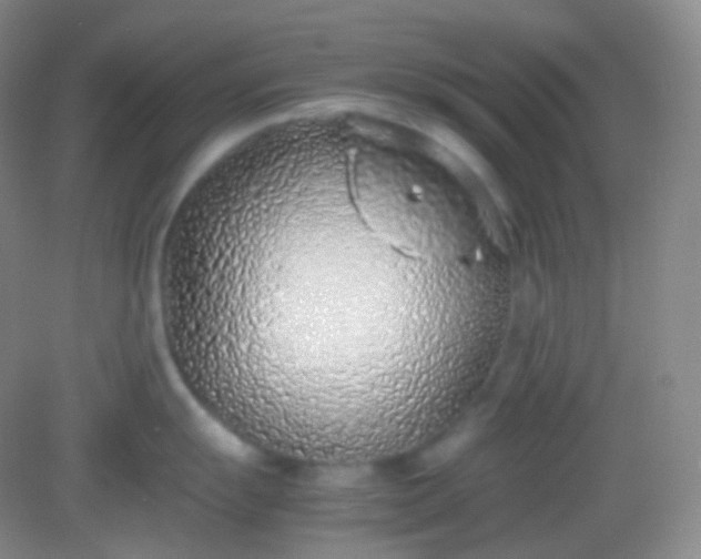 X0000082141055200702021604