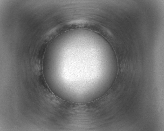 X0000082141062200702021603
