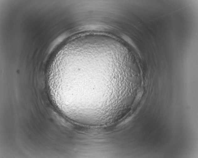 X0000082141067200702021603