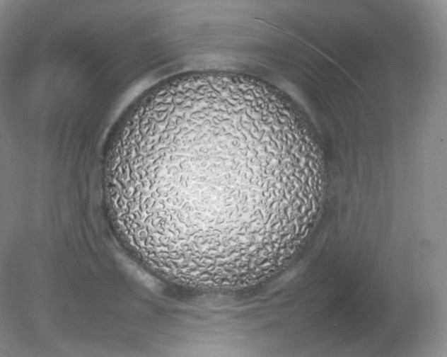 X0000082141075200702021603