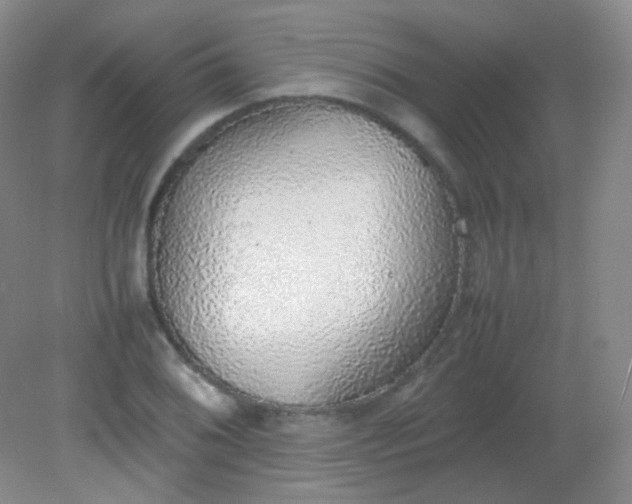 X0000082141076200702021603
