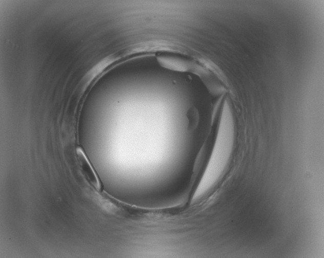 X0000082141081200702021603