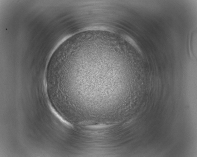 X0000082141084200702021603