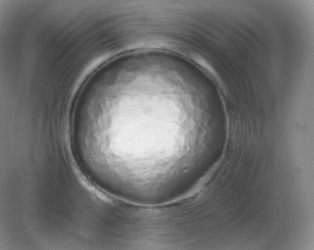 X0000082141088200702021603