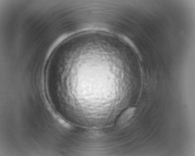 X0000082141096200702021603