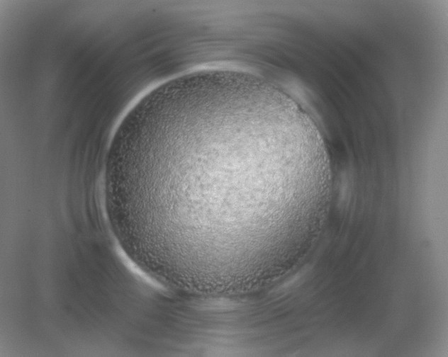 X0000082141100200702021603