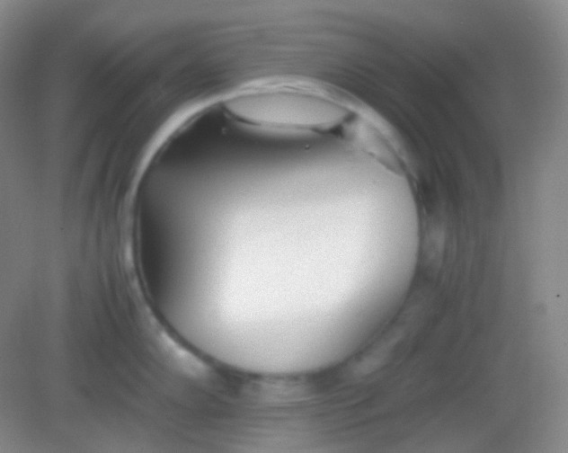 X0000082141102200702021603