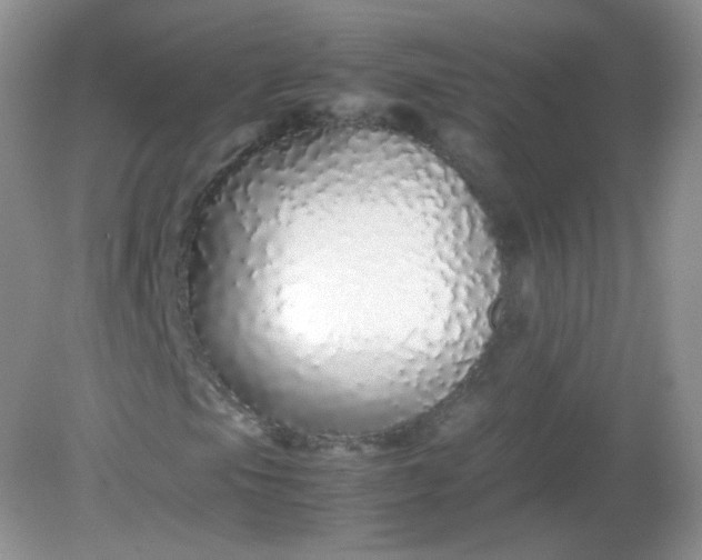 X0000082141105200702021602