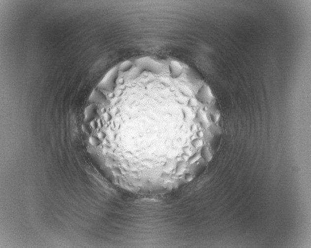 X0000082141106200702021602