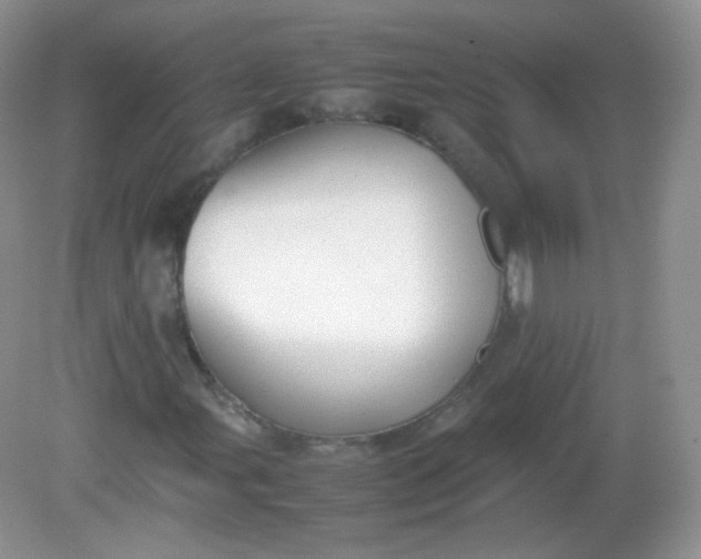 X0000082141107200702021602