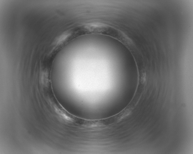 X0000082141108200702021602