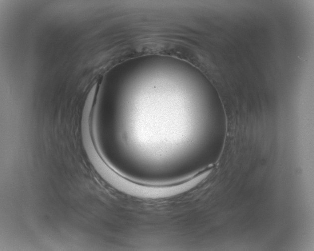 X0000082141109200702021602