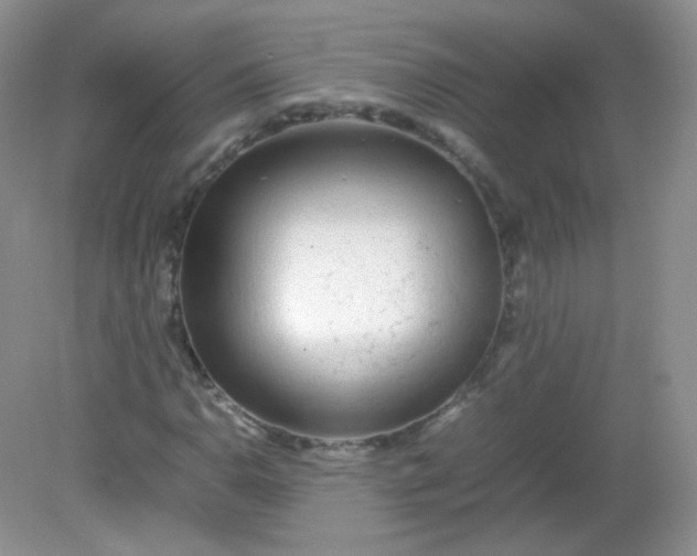 X0000082141110200702021602