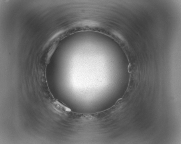 X0000082141112200702021602