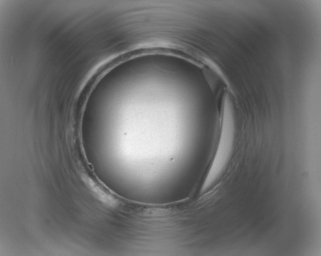 X0000082141116200702021602