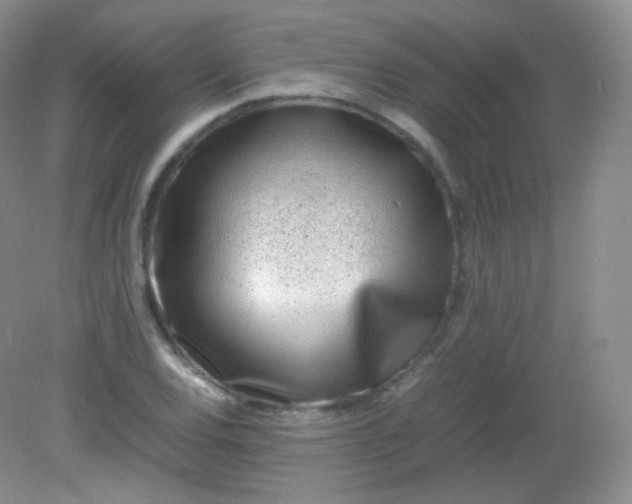 X0000082141120200702021602