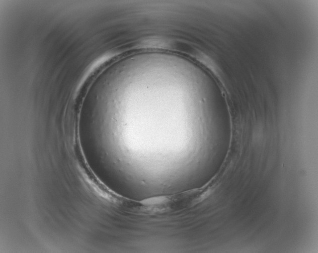 X0000082141123200702021602