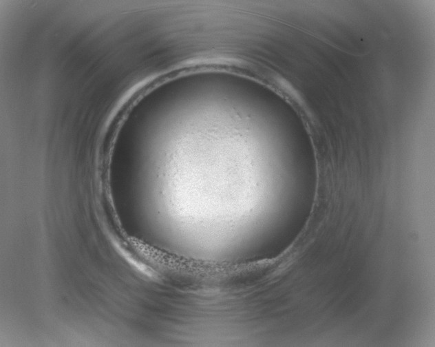 X0000082141124200702021602