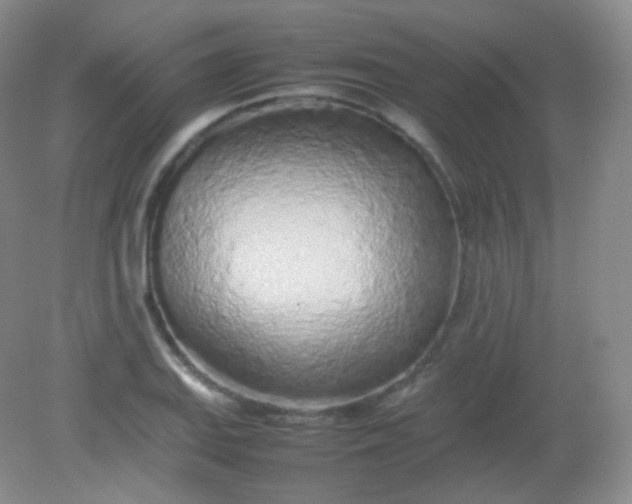 X0000082141127200702021602