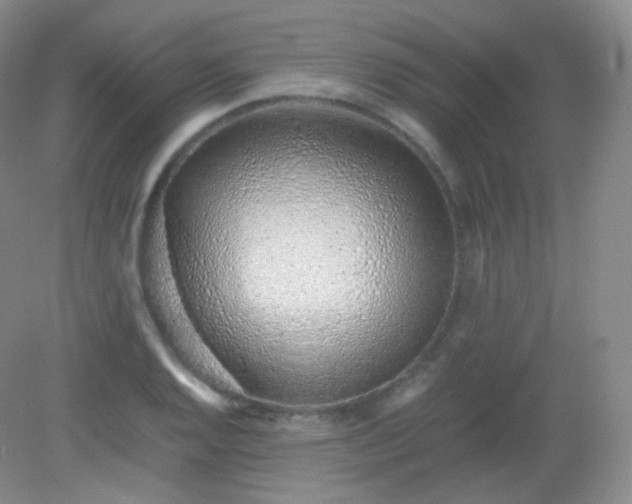 X0000082141128200702021602
