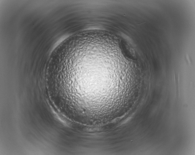X0000082141129200702021602