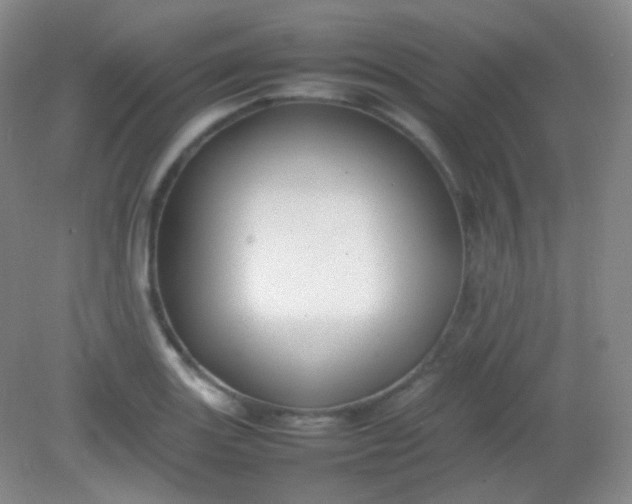X0000082141131200702021602