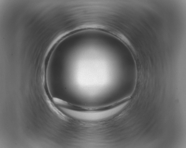 X0000082141132200702021602