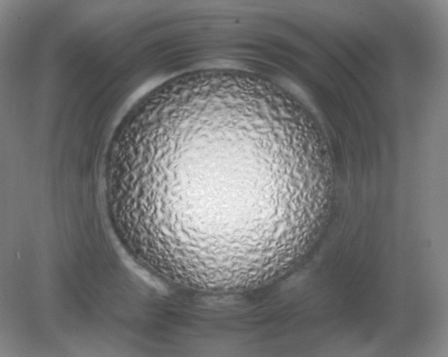 X0000082141133200702021602