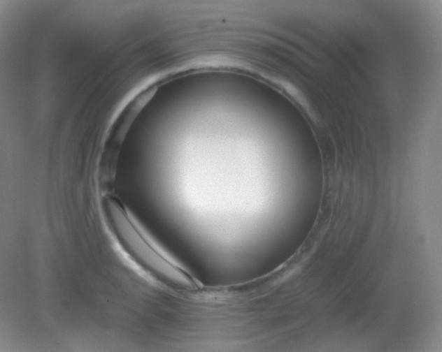 X0000082141134200702021602