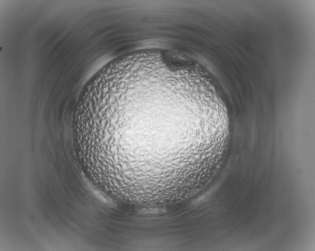 X0000082141137200702021602