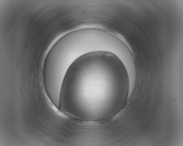 X0000082141140200702021602
