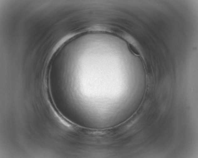 X0000082141141200702021602