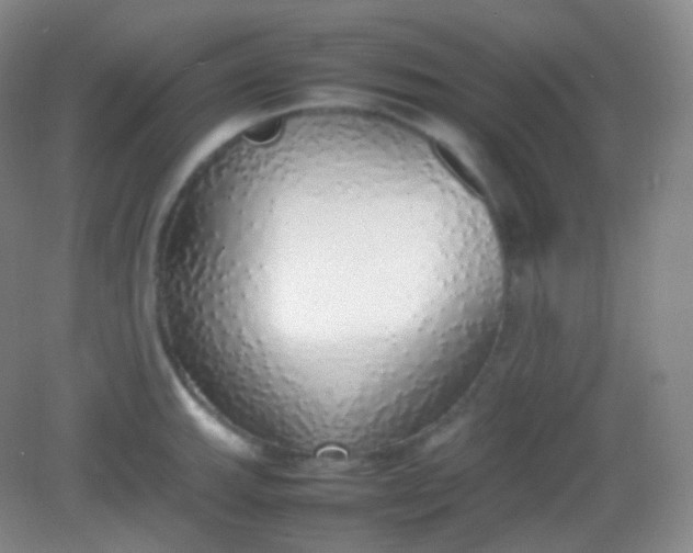 X0000082141143200702021602