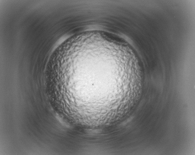 X0000082141145200702021602