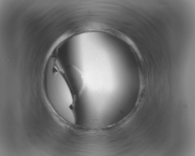 X0000082141146200702021602
