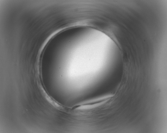 X0000082141148200702021602