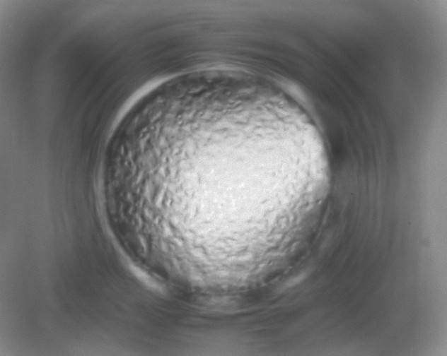 X0000082141149200702021602