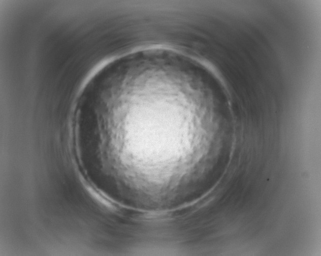 X0000082141151200702021603